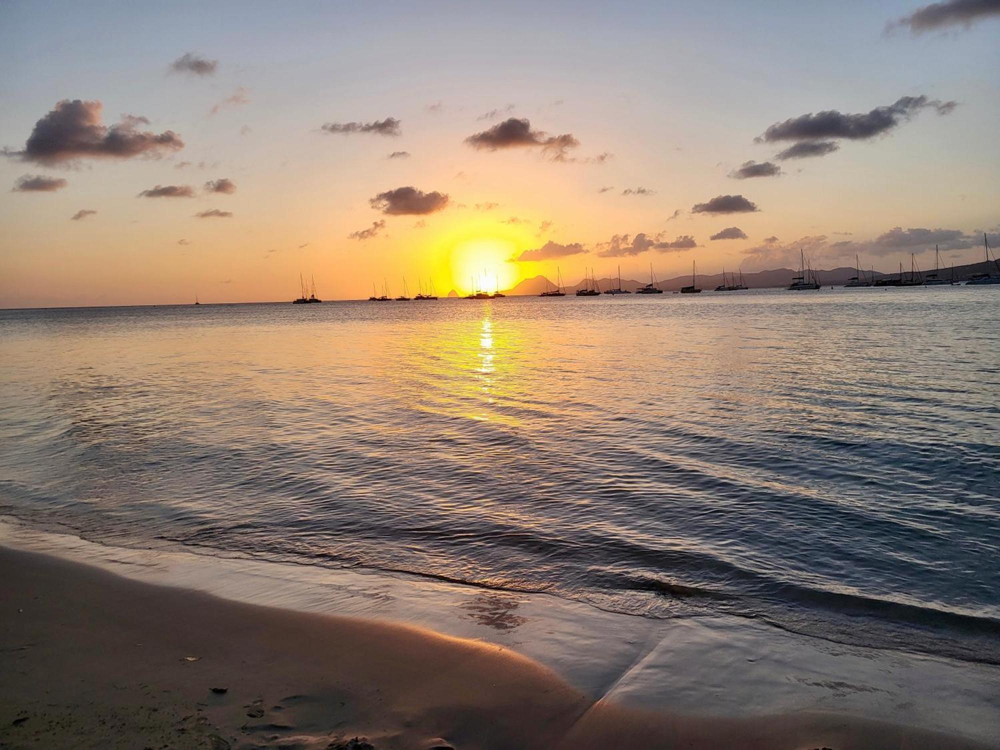 Vue Magnifique Sur La Nature , Proche Des Plages 4 A 6 Pers Rivière-Pilote Extérieur photo